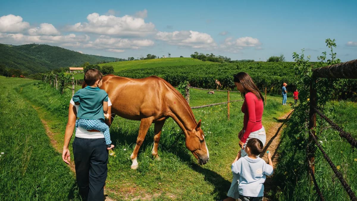 Parents and children exploring an ecological farm and country trails with friendly horses in Antioquia