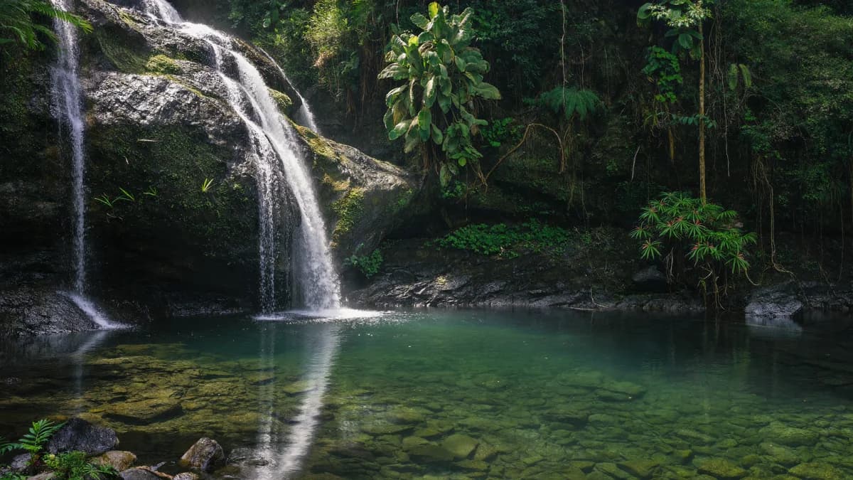 Majestic natural waterfall cascading through rocks and ferns into an emerald crystal-clear swimming hole in Antioquia